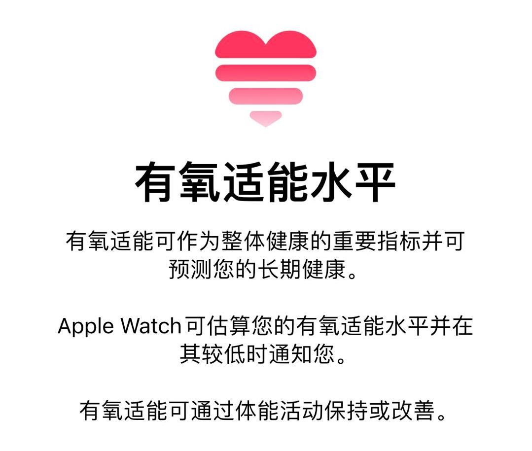 watch有氧运动_运动氧气_手表有氧适能